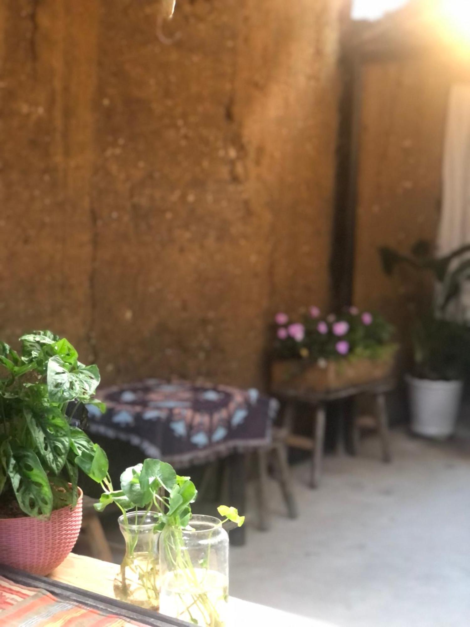 דונג ואן Le Petit Home מראה חיצוני תמונה