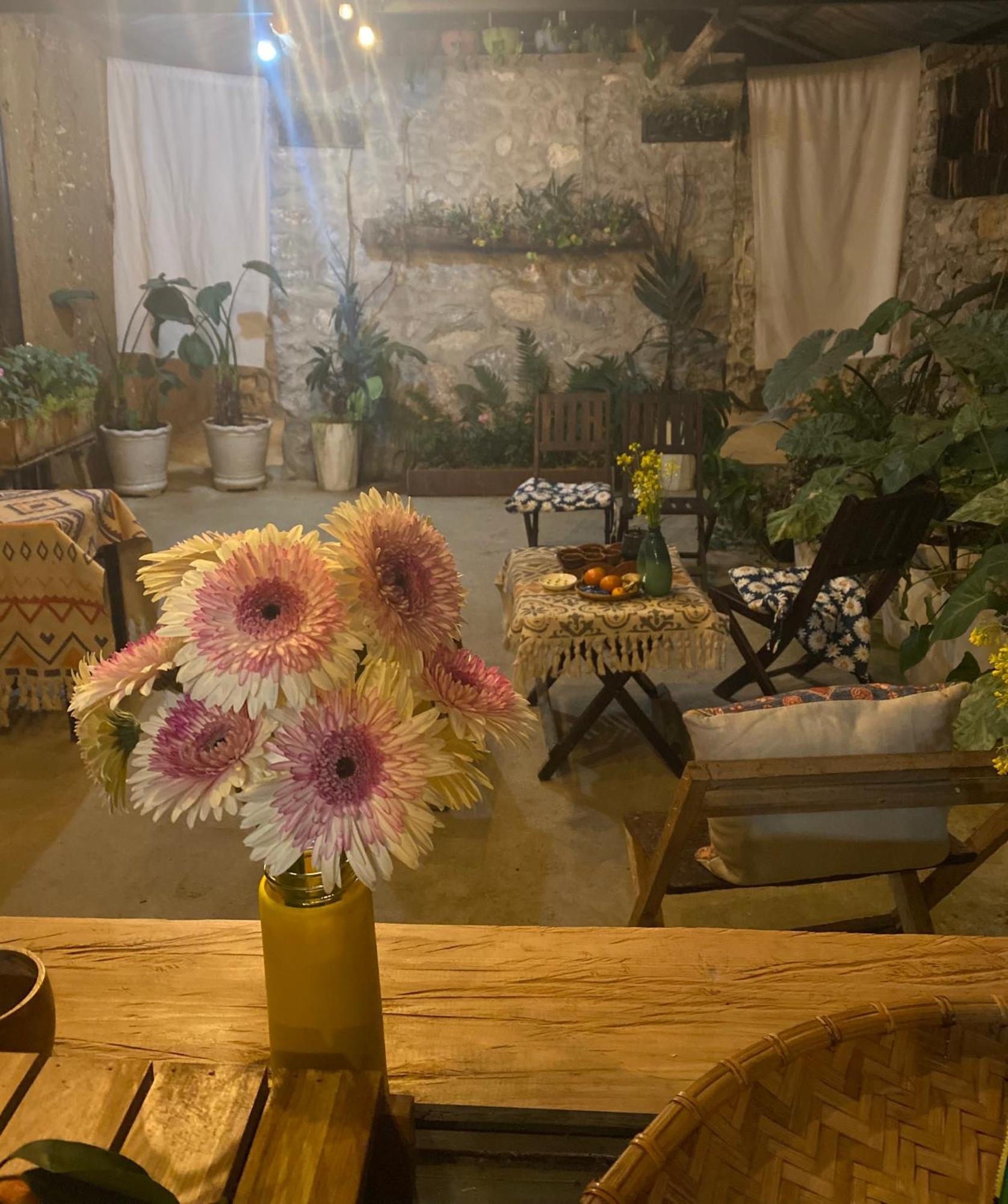 דונג ואן Le Petit Home מראה חיצוני תמונה